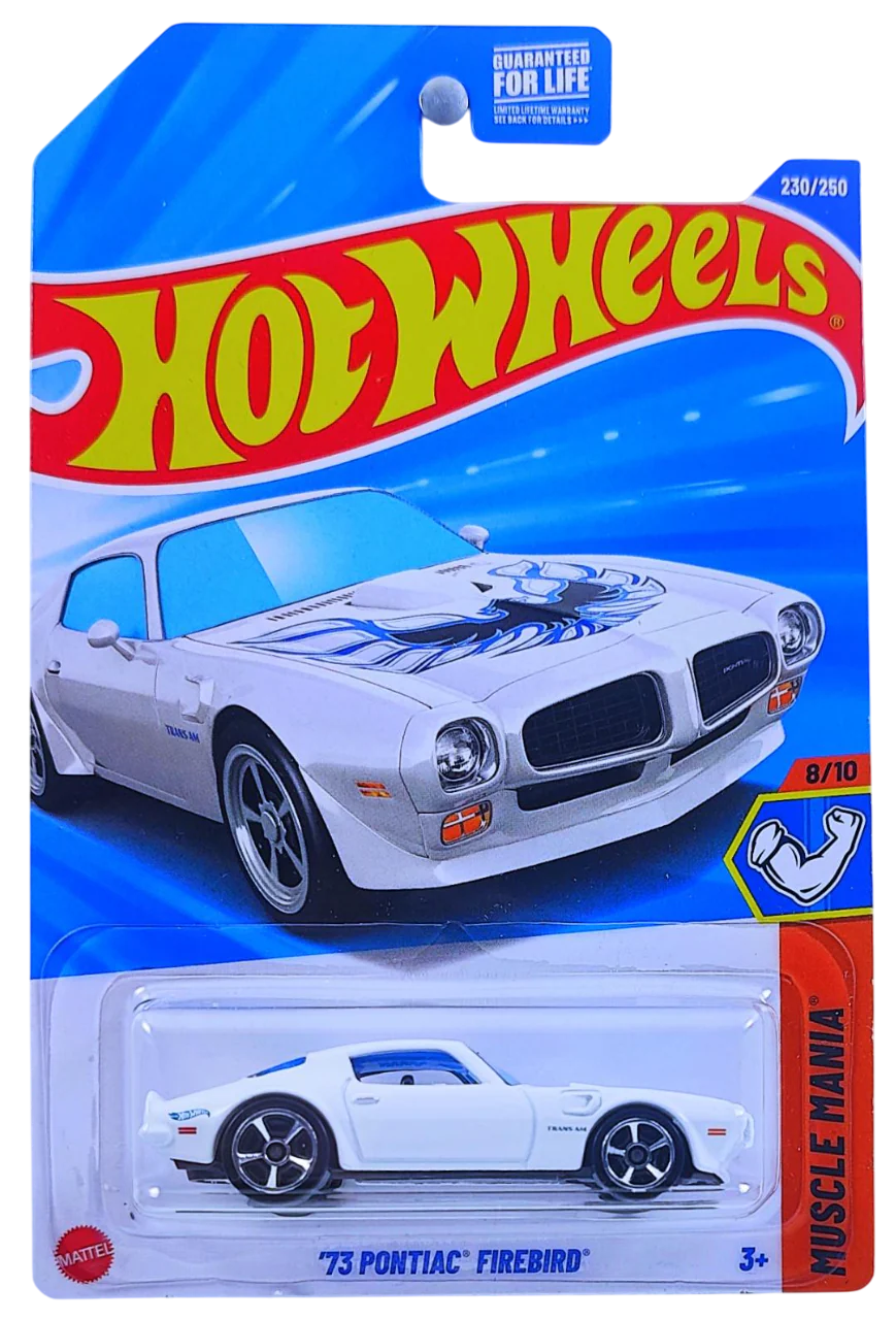 Hot Wheels ’73 PONTIAC® FIREBIRD® 2025 (JBB41)